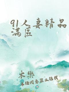91人妻精品丰满区