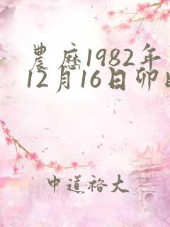 农历1982年12月16日卯时八字