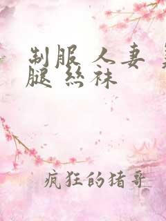 制服 人妻 美腿 丝袜