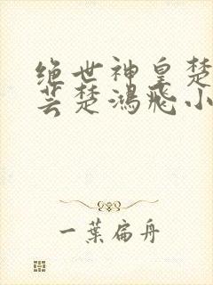 绝世神皇楚风楚芸楚鸿飞小说