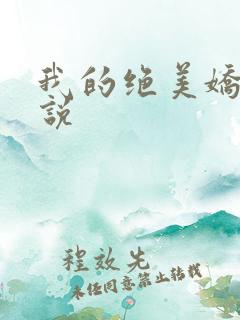我的绝美娇妻小说