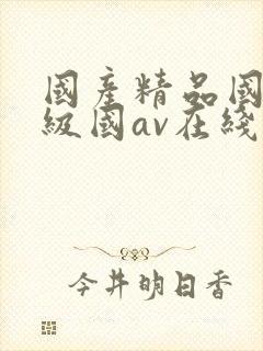 国产精品国产三级国av在线观看