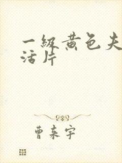 一级黄色夫妻生活片