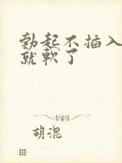 勃起不插入一会就软了