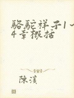 骆驼祥子1~24章概括