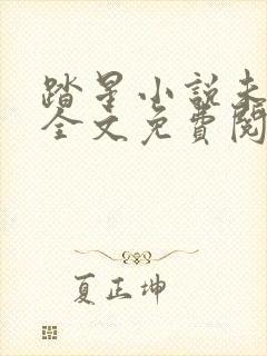 踏星小说未删版全文免费阅读