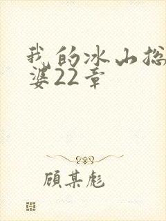 我的冰山总裁老婆22章