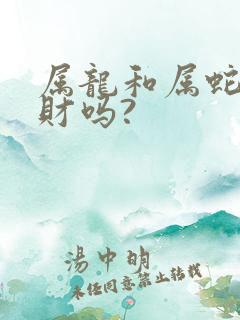 属龙和属蛇的合财吗?