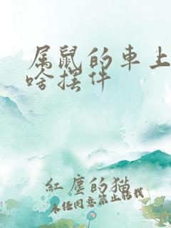属鼠的车上适合啥摆件