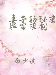 妻子的秘密免费版电视剧