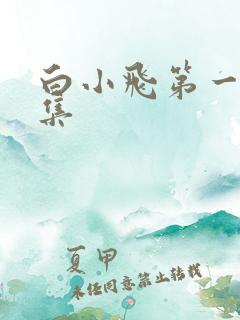 白小飞第一季全集 白小飞第一季全集