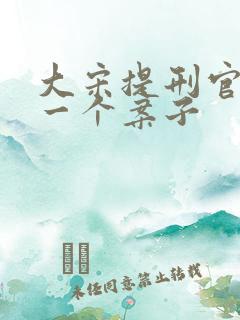 大宋提刑官几集一个案子 大宋提刑官几集一个案子