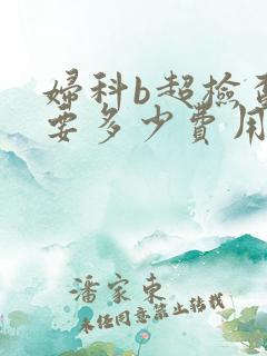 妇科b超检查需要多少费用