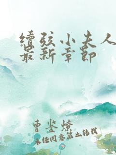续弦小夫人下载最新章节