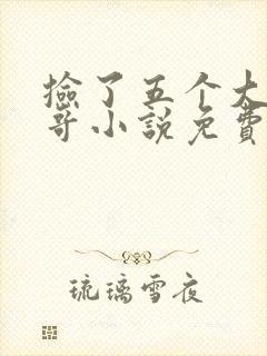 捡了五个大佬哥哥小说免费阅读