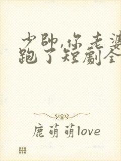 少帅,你老婆又跑了短剧全集