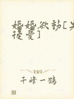 婚婚欲动[先婚后爱]