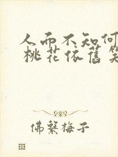 人面不知何处去 桃花依旧笑春风什么意思