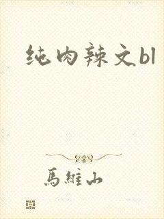 纯肉辣文bl