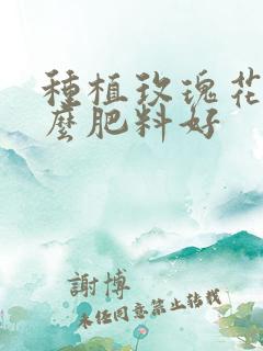 种植玫瑰花用什么肥料好