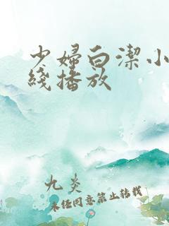 少妇白洁小说在线播放
