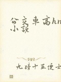 公交车高hnp小说