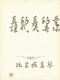 真的真的爱你别让我失去你是什么歌