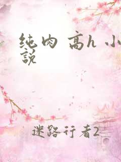 纯肉 高h 小说