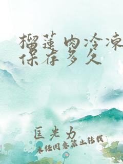 榴莲肉冷冻可以保存多久