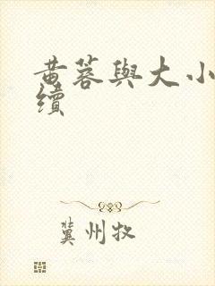 黄蓉与大小武后续