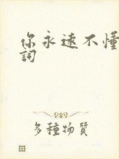 你永远不懂我歌词