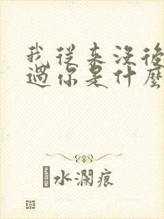 我从来没后悔爱过你是什么歌
