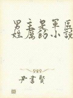 男主是军区首长姓厉的小说