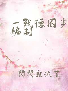 一战德国步兵师编制