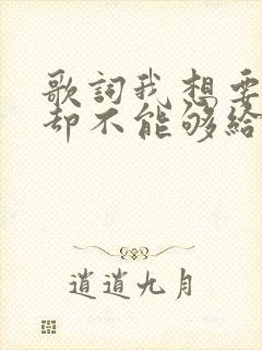 歌词我想要的你却不能够给你我全部