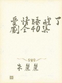爱情睡醒了电视剧全40集
