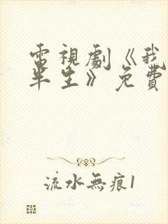 电视剧《我的后半生》免费观看高清