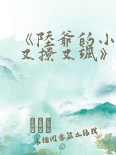 《陆爷的小祖宗又撩又飒》 《陆爷的小祖宗又撩又飒》