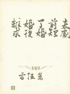 离婚了前夫哭着求复婚短剧