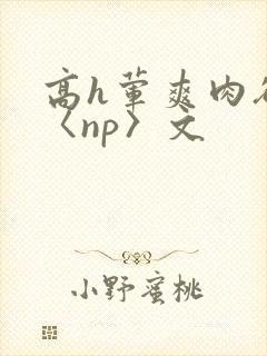 高h荤爽肉欲文〈np〉文 高h荤爽肉欲文〈np〉文