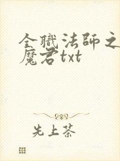 全职法师之黑暗魔君txt