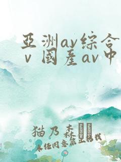 亚洲av综合aⅴ国产av中文