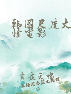 韩国尺度大的爱情电影