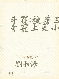 斗罗:被唐三哥哥宠上天小说