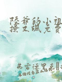 陆爷的小祖宗又撩又飒免费版