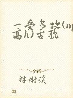 一受多攻(np高h)古耽