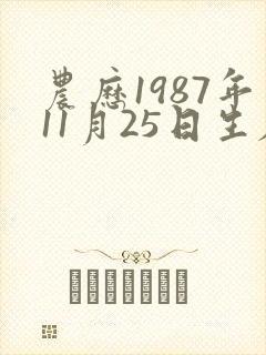 农历1987年11月25日生辰八字