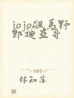 jojo飙马野郎迪亚哥