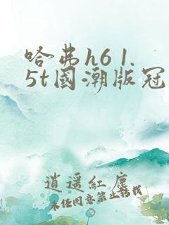 哈弗h6 1.5t国潮版冠军