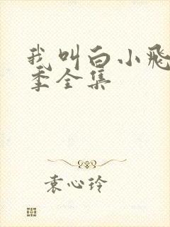 我叫白小飞第三季全集